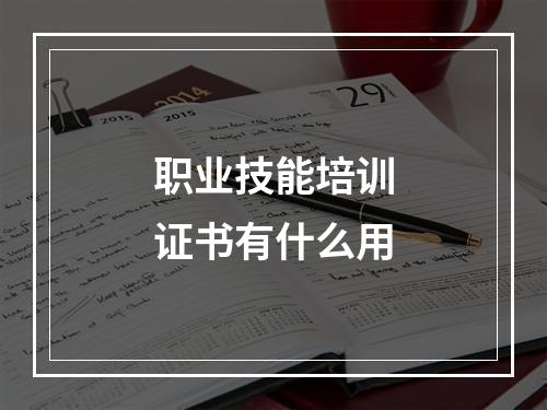 职业技能培训证书有什么用