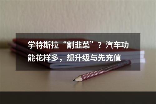 学特斯拉“割韭菜”？汽车功能花样多，想升级与先充值