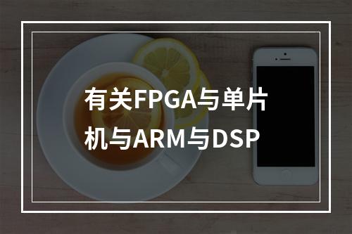 有关FPGA与单片机与ARM与DSP