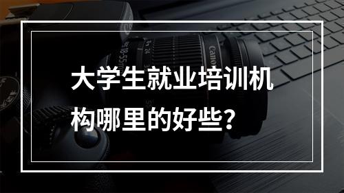 大学生就业培训机构哪里的好些？