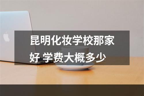 昆明化妆学校那家好 学费大概多少