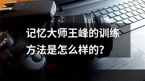 记忆大师王峰的训练方法是怎么样的？