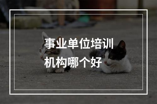 事业单位培训机构哪个好