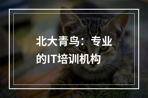 北大青鸟：专业的IT培训机构