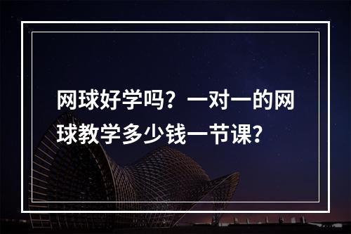 网球好学吗？一对一的网球教学多少钱一节课？