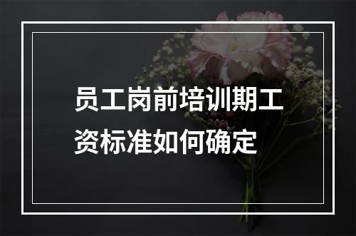 员工岗前培训期工资标准如何确定