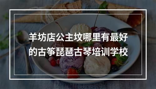 羊坊店公主坟哪里有最好的古筝琵琶古琴培训学校