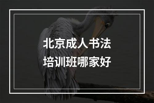 北京成人书法培训班哪家好