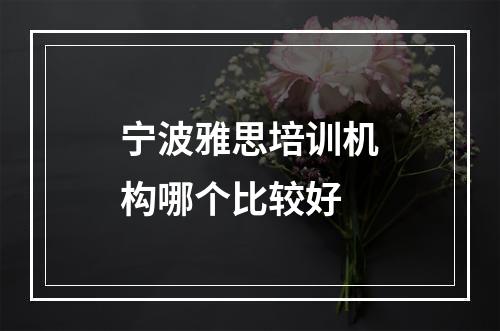 宁波雅思培训机构哪个比较好