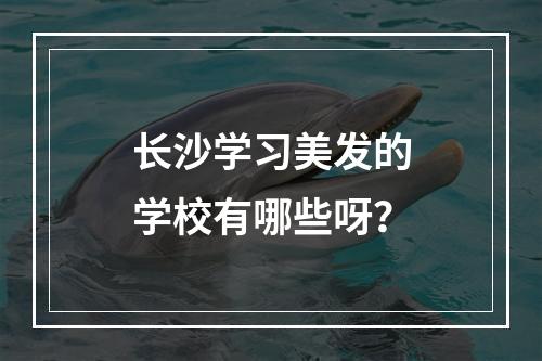 长沙学习美发的学校有哪些呀？