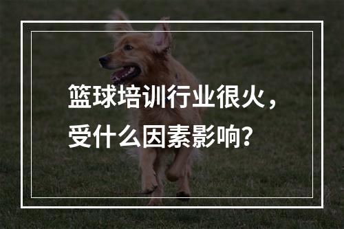 篮球培训行业很火，受什么因素影响？