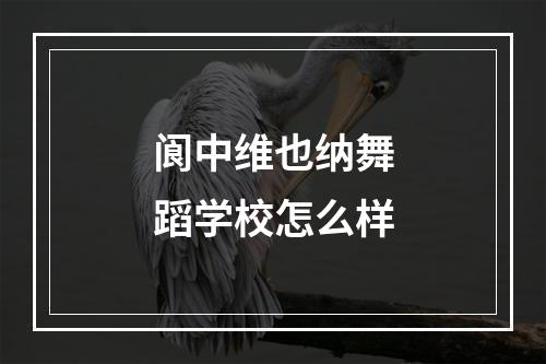 阆中维也纳舞蹈学校怎么样