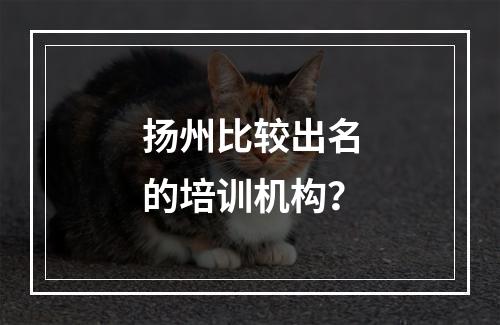 扬州比较出名的培训机构？