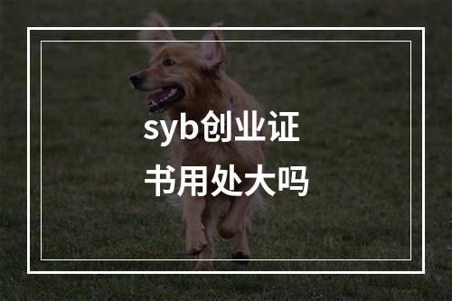 syb创业证书用处大吗