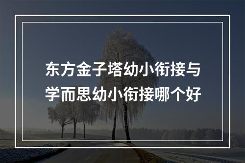 东方金子塔幼小衔接与学而思幼小衔接哪个好