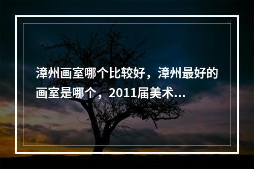 漳州画室哪个比较好，漳州最好的画室是哪个，2011届美术高考成绩都怎样？