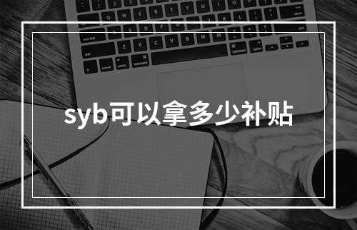 syb可以拿多少补贴