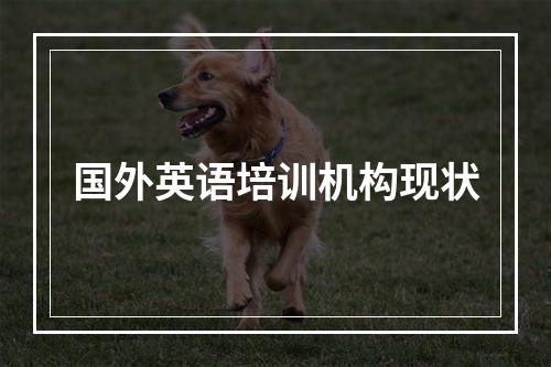 国外英语培训机构现状