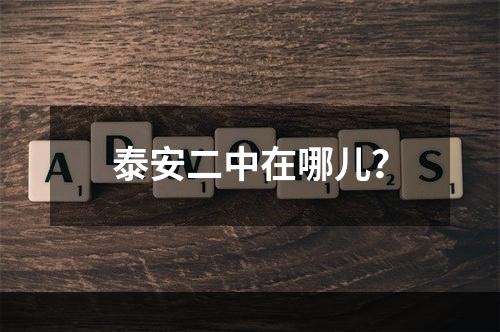 泰安二中在哪儿？