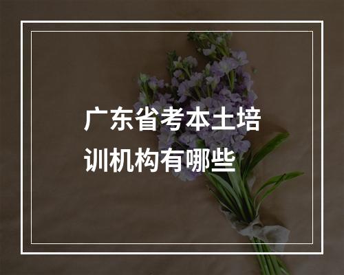 广东省考本土培训机构有哪些