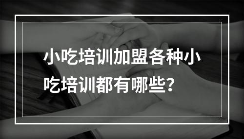 小吃培训加盟各种小吃培训都有哪些？