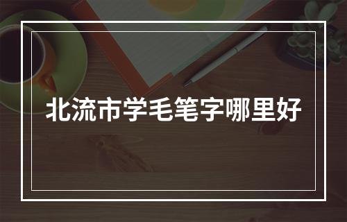 北流市学毛笔字哪里好