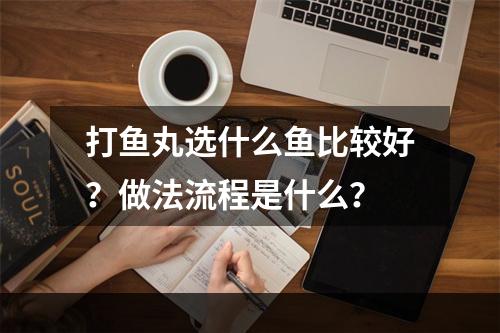 打鱼丸选什么鱼比较好？做法流程是什么？