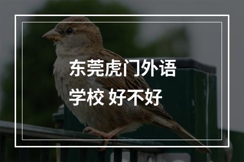 东莞虎门外语学校 好不好