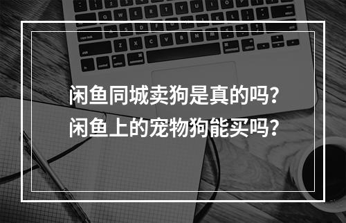 闲鱼同城卖狗是真的吗？闲鱼上的宠物狗能买吗？