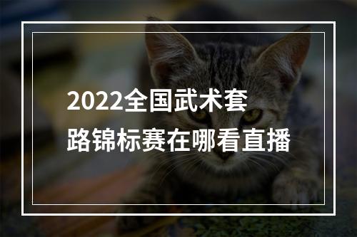 2022全国武术套路锦标赛在哪看直播