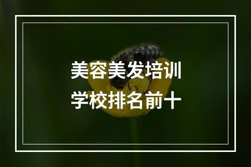 美容美发培训学校排名前十