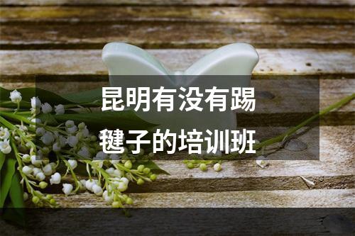 昆明有没有踢毽子的培训班