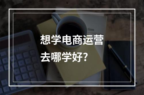 想学电商运营去哪学好?