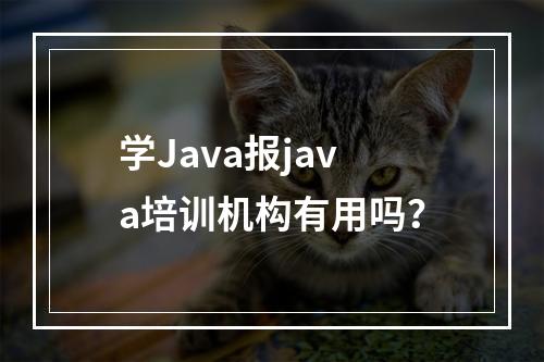 学Java报java培训机构有用吗？