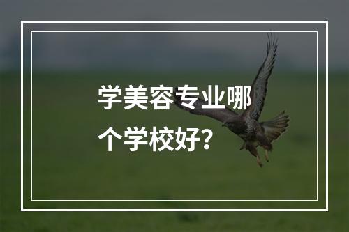 学美容专业哪个学校好？