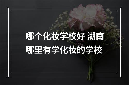 哪个化妆学校好 湖南哪里有学化妆的学校