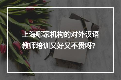 上海哪家机构的对外汉语教师培训又好又不贵呀？