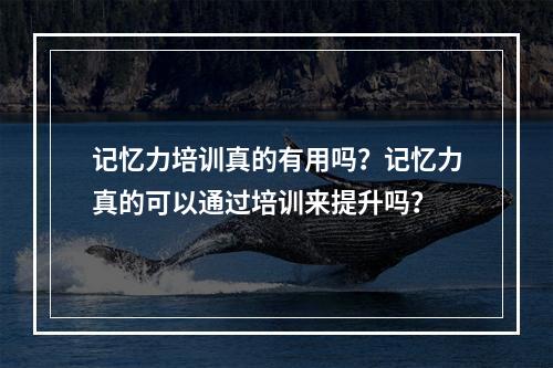 记忆力培训真的有用吗？记忆力真的可以通过培训来提升吗？