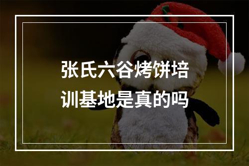 张氏六谷烤饼培训基地是真的吗