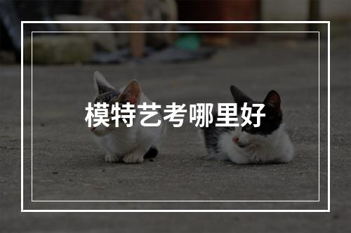 模特艺考哪里好