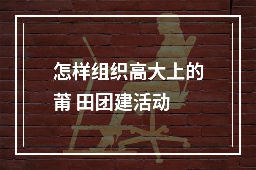 怎样组织高大上的莆 田团建活动