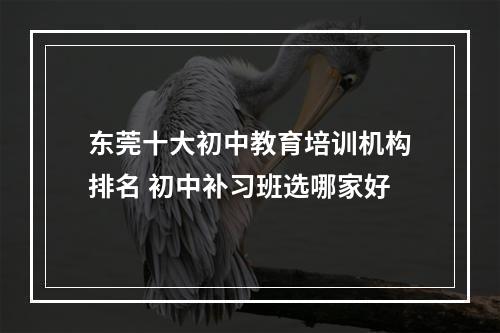 东莞十大初中教育培训机构排名 初中补习班选哪家好