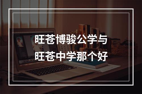 旺苍博骏公学与旺苍中学那个好