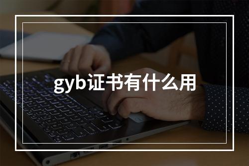 gyb证书有什么用