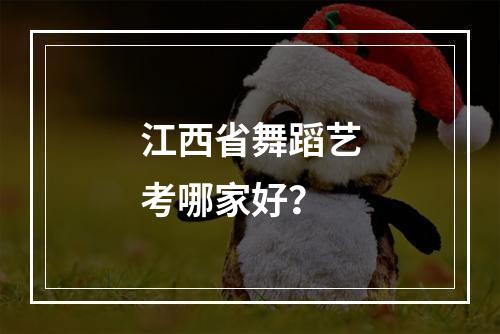 江西省舞蹈艺考哪家好？