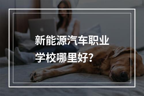 新能源汽车职业学校哪里好？