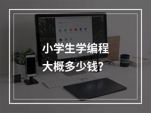 小学生学编程大概多少钱？