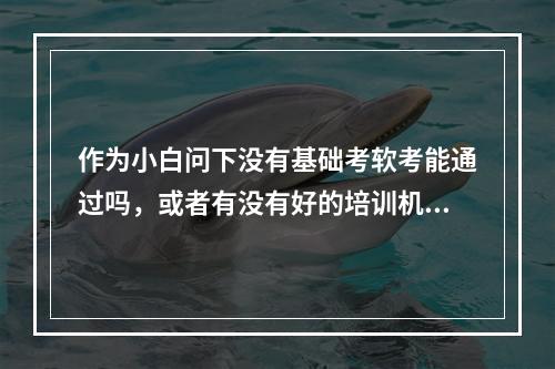 作为小白问下没有基础考软考能通过吗，或者有没有好的培训机构推荐的？