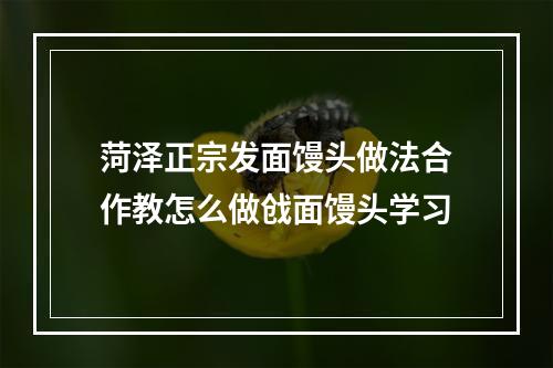 菏泽正宗发面馒头做法合作教怎么做戗面馒头学习