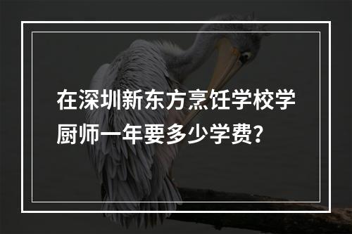 在深圳新东方烹饪学校学厨师一年要多少学费？